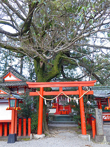 新義真言宗‐総本山・根来寺の山門