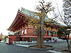 東京都　浅草寺