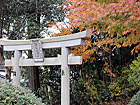 福井県 若狭 国分寺地 若狭姫神社