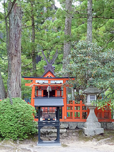 高野山　蓮池 善女竜王神宮