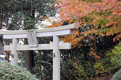 福井県　若狭‐国分寺地・若狭姫神社